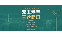 【DSE規劃】雙非港寶的三岔路口：聯考正在變難，DSE 窗口提前，這張決策表幫你一次定賽道